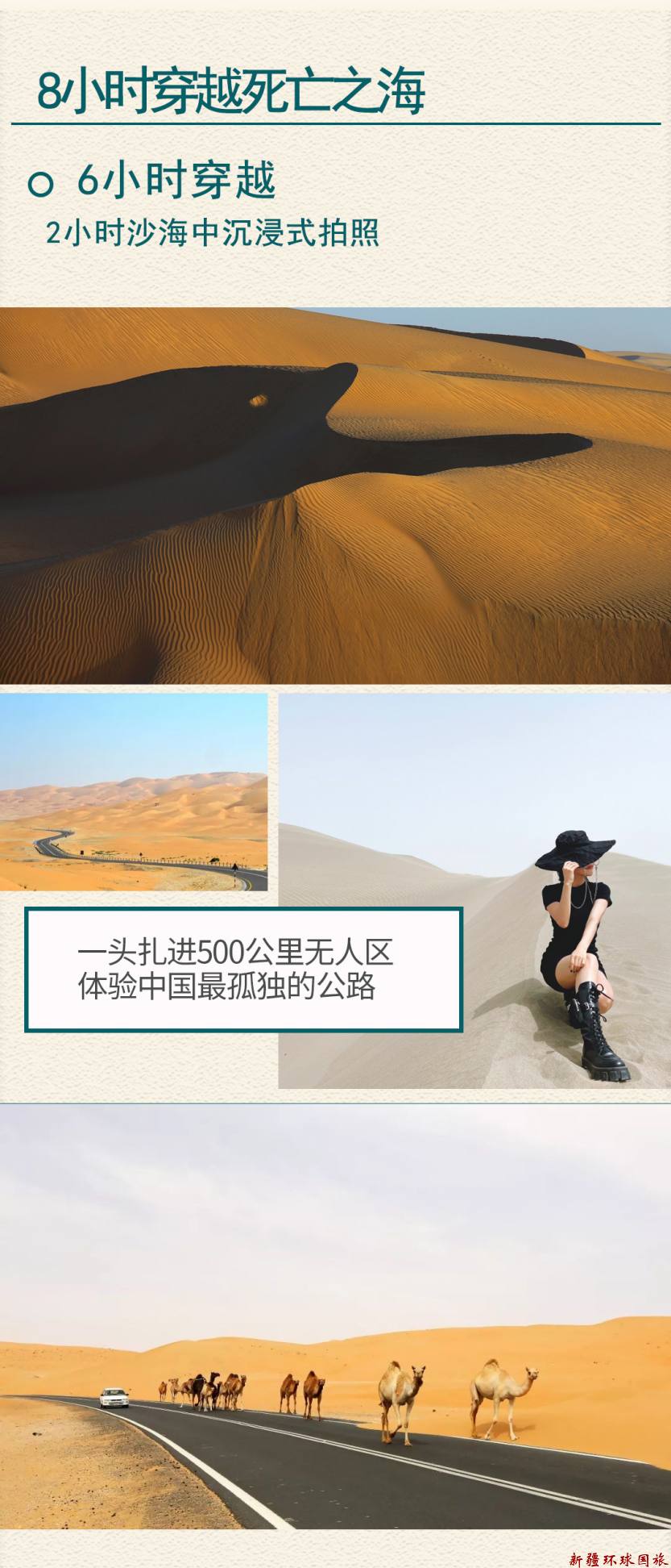 偶遇疆南2025详情图1_10