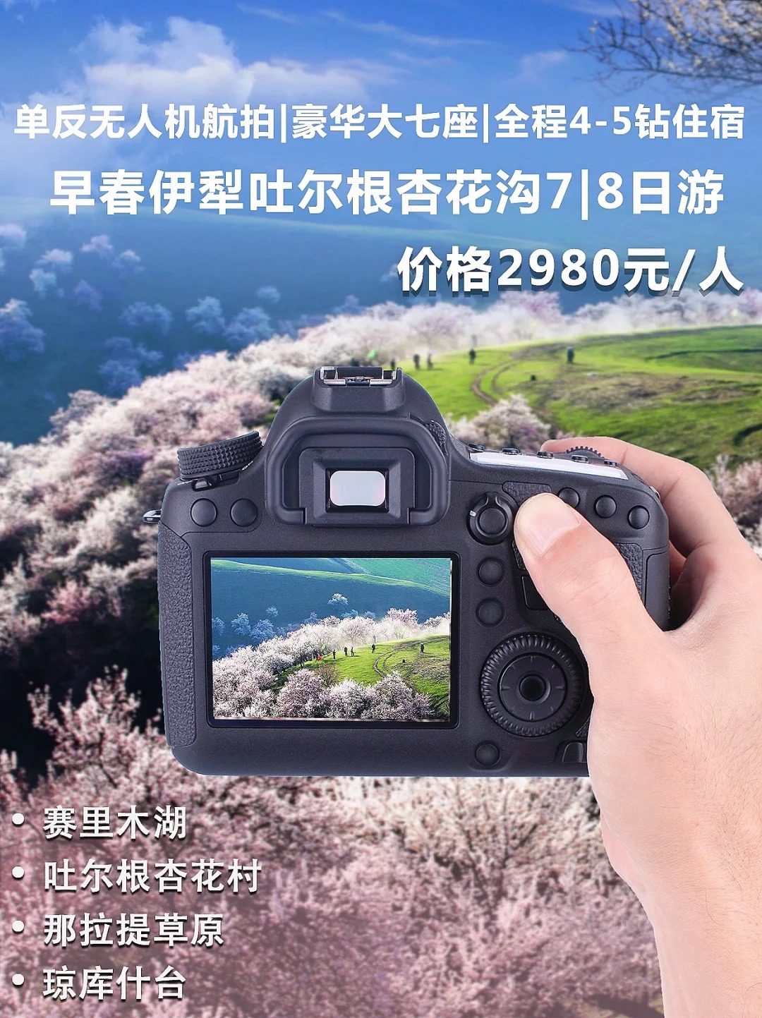 【杏遇蓝冰】伊犁早春吐尔根杏花轻摄影7日游