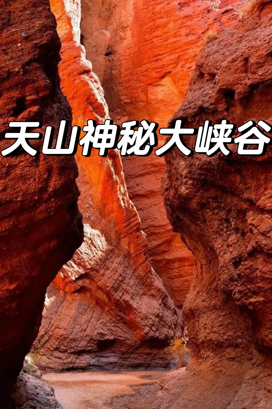 【独下南疆】独库公路全线+赛里木湖+南疆精华 15天14晚拼车小团（乌鲁木齐起喀什止）